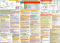Instrument Pilot Oral Exam Study Guide Poster (All in One, 27x19 In., 2-sided)