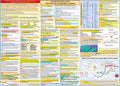 Aviation Weather & Chart, Limitations and Recommended Techniques. (2-sided Poster, Size 27 x 19 In)